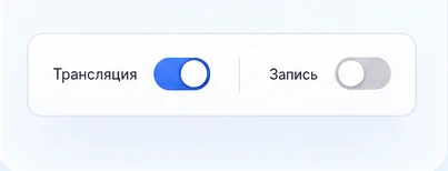 Два независимых переключателя: трансляция включена, запись выключена